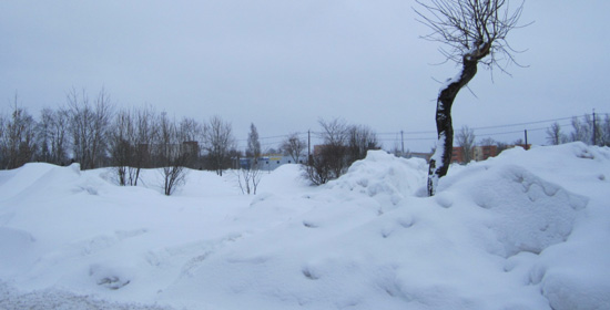 johvi_site johvi site Snowy Beginnings