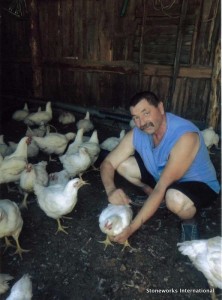chickens 001 222x300 Chickens, Pigs, Turkeys