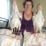 chickens 002 150x150 Chickens, Pigs, Turkeys